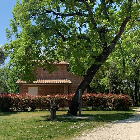 Casina Miriano Villa กัสติลโยเน เดล ลาโก ภายนอก รูปภาพ