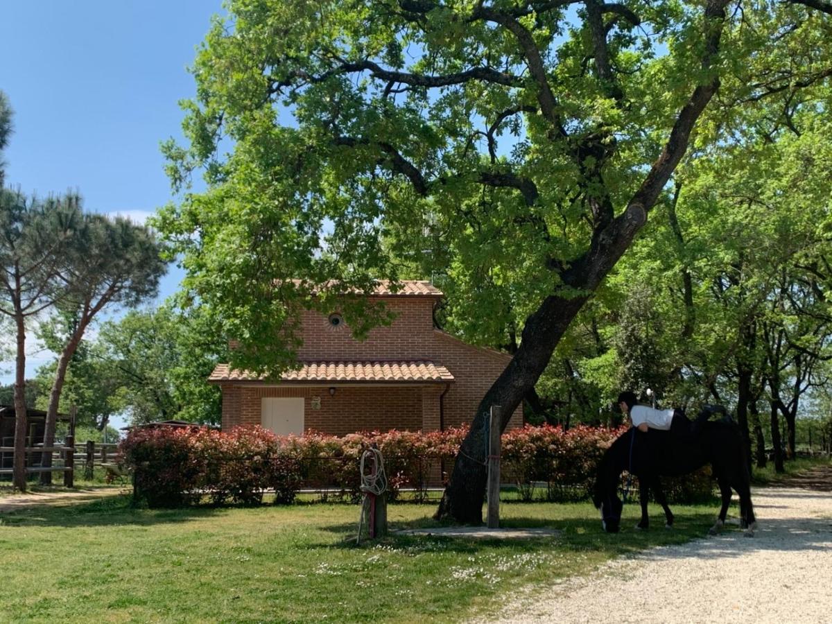 Casina Miriano Villa กัสติลโยเน เดล ลาโก ภายนอก รูปภาพ