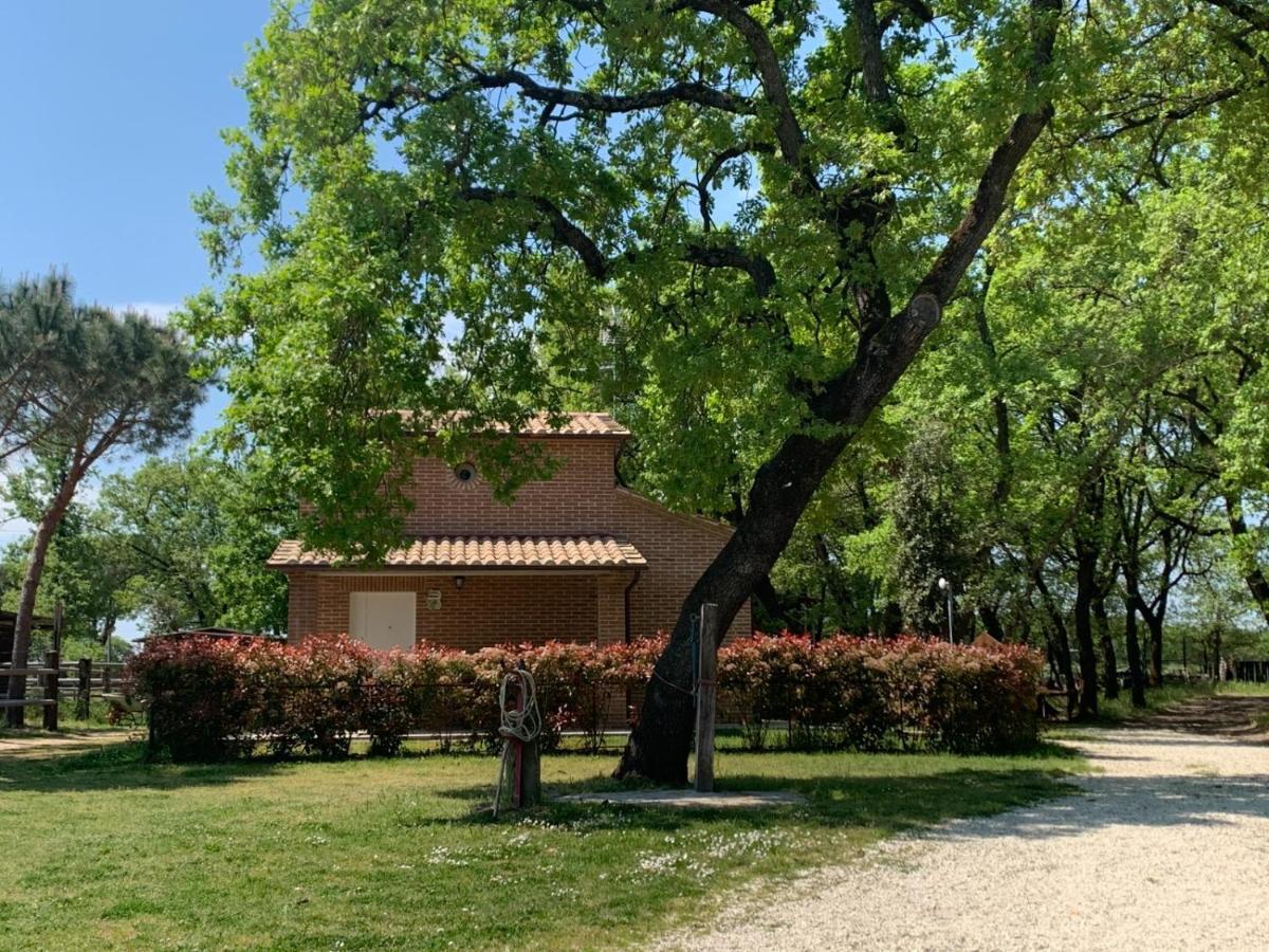 Casina Miriano Villa กัสติลโยเน เดล ลาโก ภายนอก รูปภาพ